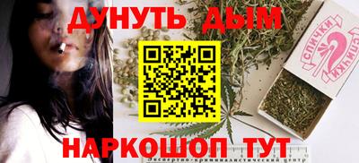 сатива Бузулук