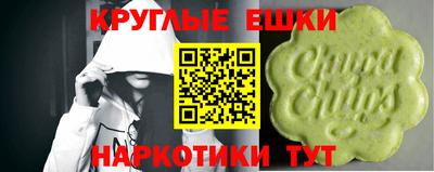 сатива Бузулук