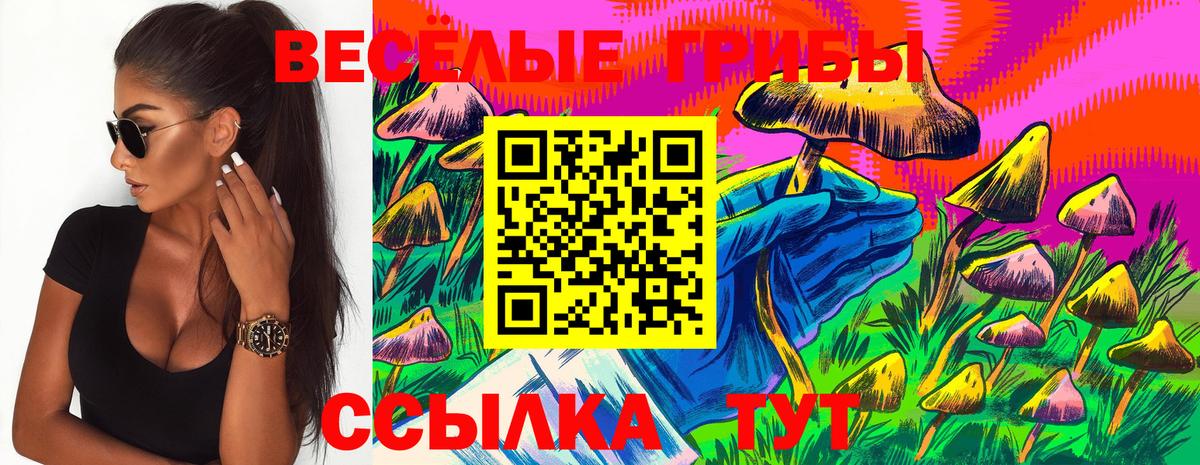 Псилоцибиновые грибы Psilocybine cubensis Туймазы